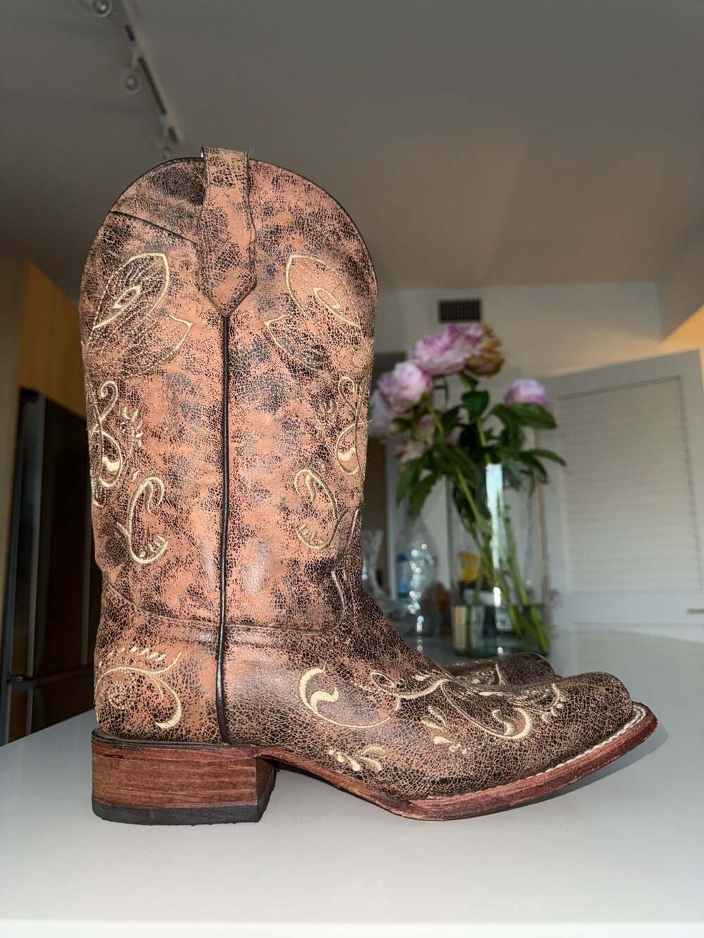 Circle G by Corral Women's Dragonfly Embroidered Square Toe Boots L5079